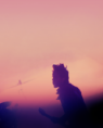 /album/peldakep-/tumblr-lu6yi5vhfj1r27dr7-large-png/